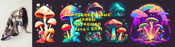 эйфоретик Баксан