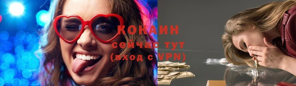 эйфоретик Баксан