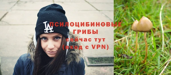 твердый Балахна