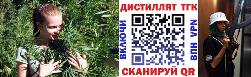 ТГК концентрат  где купить   Губаха 