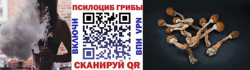 Галлюциногенные грибы GOLDEN TEACHER купить наркотики цена Губаха
